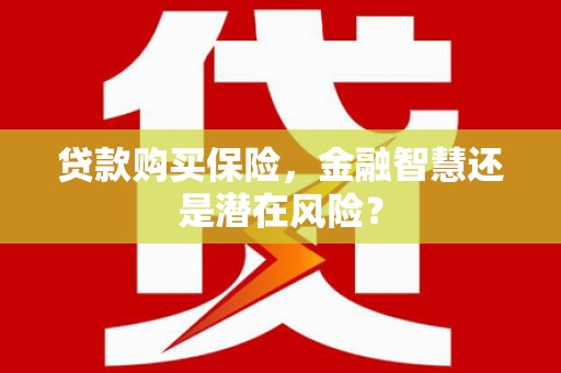 清新贷款购买保险，金融智慧还是潜在风险？