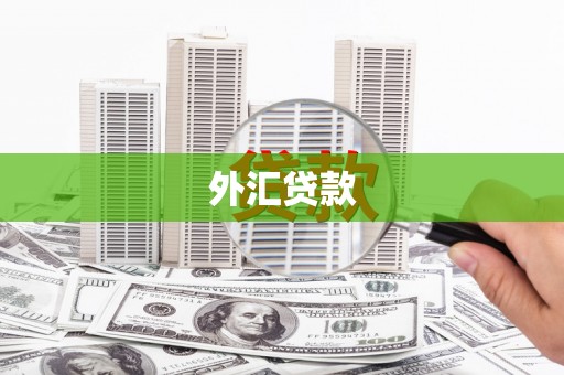 清新外汇贷款