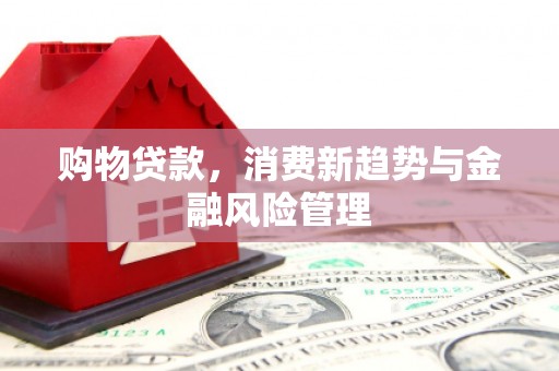 清新购物贷款，消费新趋势与金融风险管理