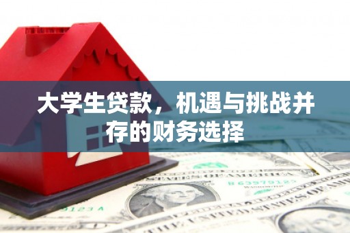 清新大学生贷款，机遇与挑战并存的财务选择