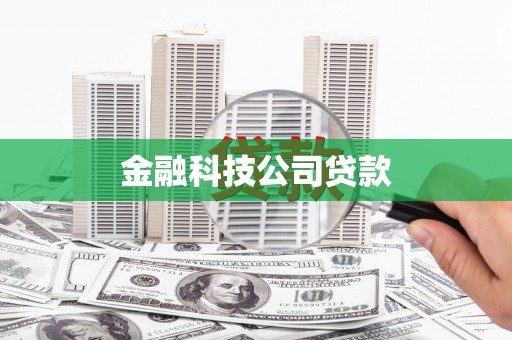 清新金融科技公司贷款