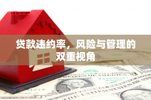清新贷款违约率，风险与管理的双重视角