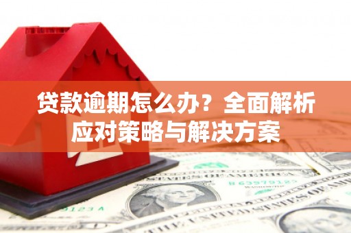 清新贷款逾期怎么办？全面解析应对策略与解决方案