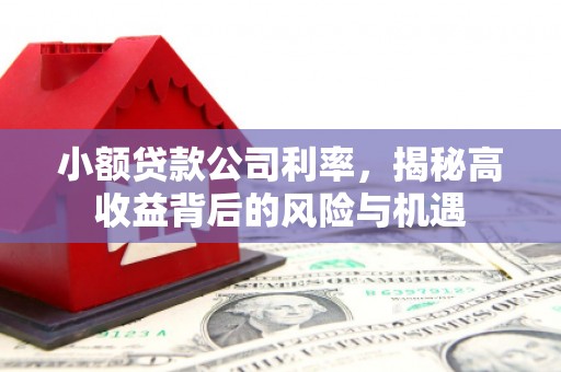 清新小额贷款公司利率，揭秘高收益背后的风险与机遇