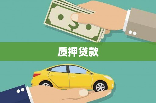 清新质押贷款