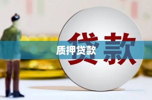 清新质押贷款