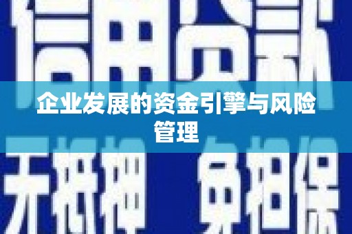 清新企业发展的资金引擎与风险管理