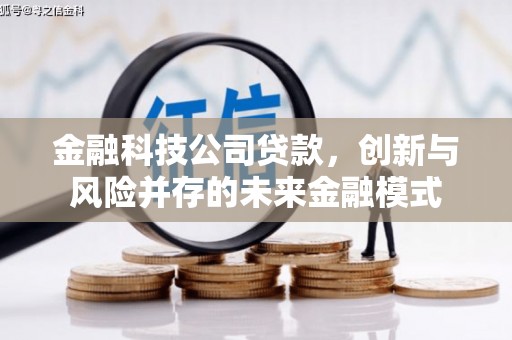 清新金融科技公司贷款，创新与风险并存的未来金融模式