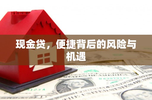 清新现金贷，便捷背后的风险与机遇