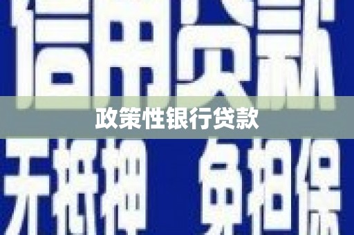 清新政策性银行贷款