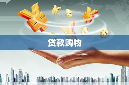 清新贷款购物
