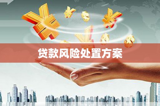 清新贷款风险处置方案