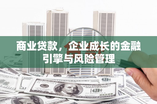 清新商业贷款，企业成长的金融引擎与风险管理