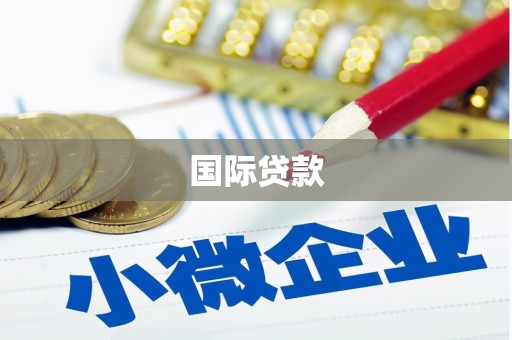 清新国际贷款