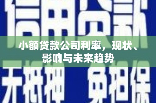 清新小额贷款公司利率，现状、影响与未来趋势
