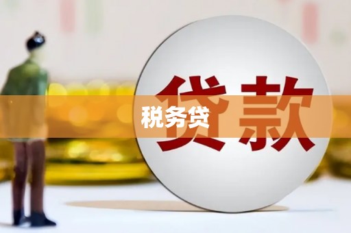 清新税务贷