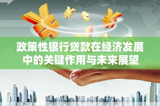 清新政策性银行贷款在经济发展中的关键作用与未来展望