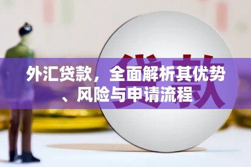 清新外汇贷款，全面解析其优势、风险与申请流程