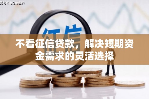 清新不看征信贷款，解决短期资金需求的灵活选择