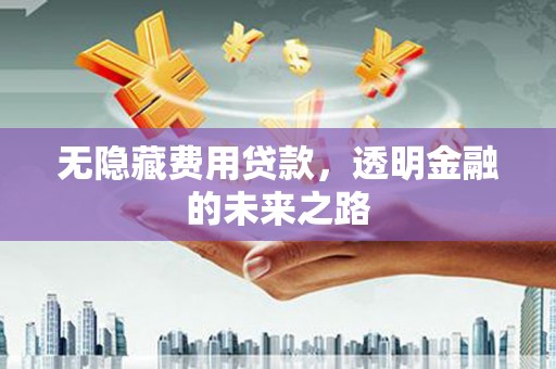 清新无隐藏费用贷款，透明金融的未来之路