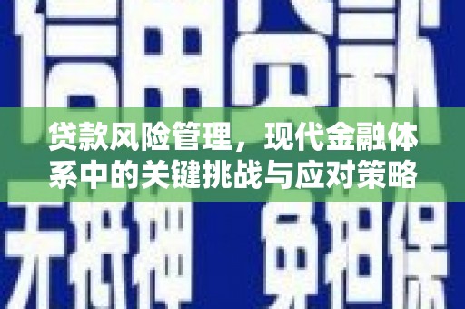 清新贷款风险管理，现代金融体系中的关键挑战与应对策略