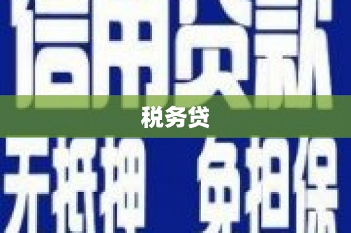 清新税务贷