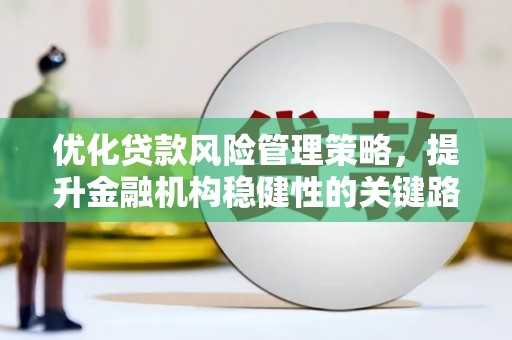 清新优化贷款风险管理策略，提升金融机构稳健性的关键路径