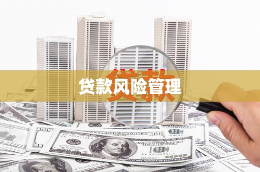 清新贷款风险管理