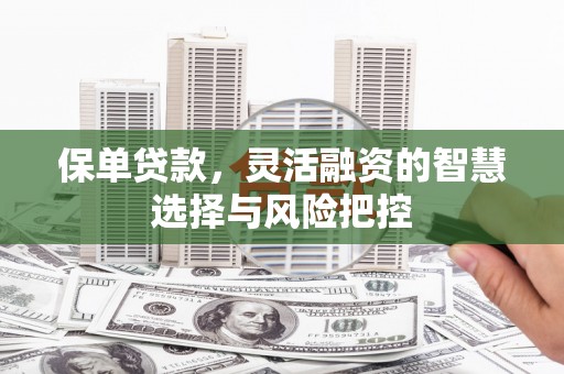清新保单贷款，灵活融资的智慧选择与风险把控