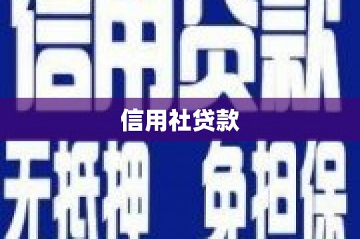清新信用社贷款