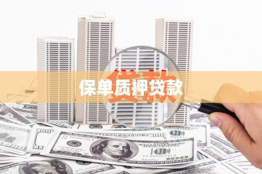 清新保单质押贷款