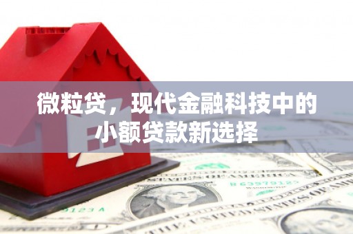 清新微粒贷，现代金融科技中的小额贷款新选择