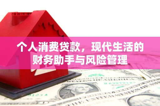 清新个人消费贷款，现代生活的财务助手与风险管理