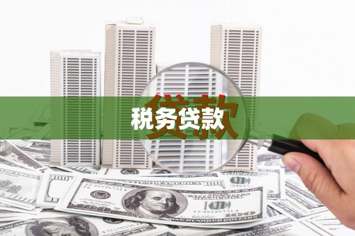 清新税务贷款