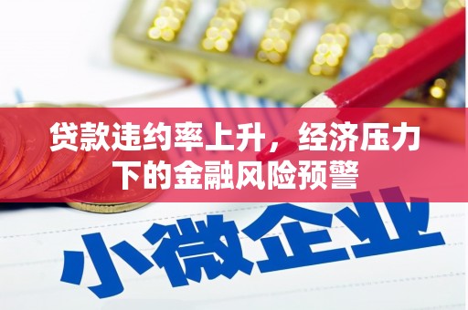 清新贷款违约率上升，经济压力下的金融风险预警