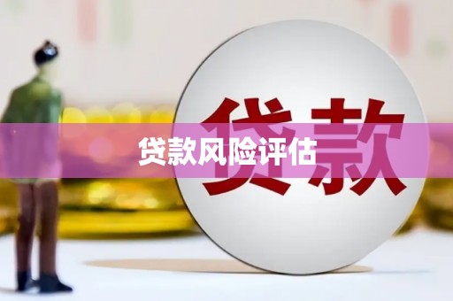 清新贷款风险评估