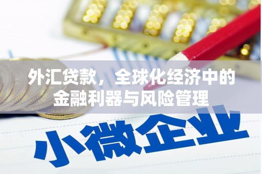 清新外汇贷款，全球化经济中的金融利器与风险管理