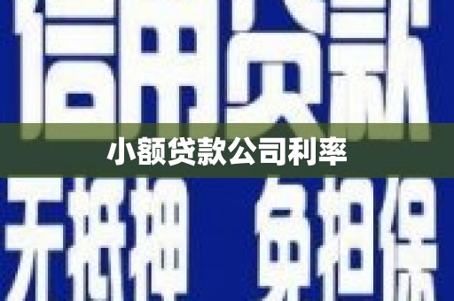 清新小额贷款公司利率
