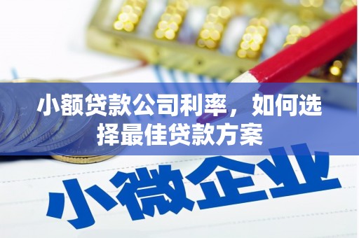 清新小额贷款公司利率，如何选择最佳贷款方案