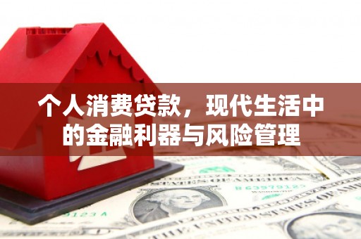 清新个人消费贷款，现代生活中的金融利器与风险管理
