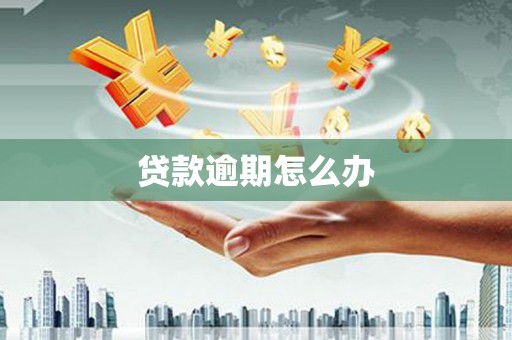 清新贷款逾期怎么办