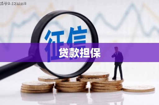 清新贷款担保