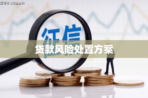 清新贷款风险处置方案