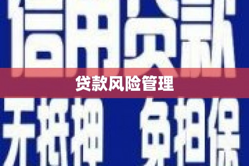 清新贷款风险管理