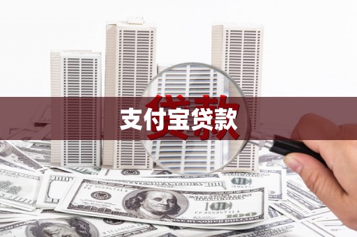 清新支付宝贷款