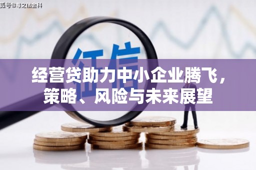 清新经营贷助力中小企业腾飞，策略、风险与未来展望