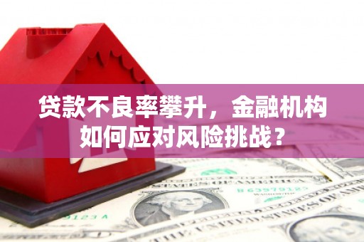 清新贷款不良率攀升，金融机构如何应对风险挑战？
