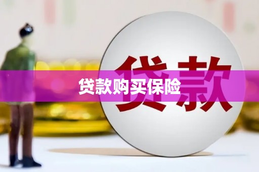清新贷款购买保险