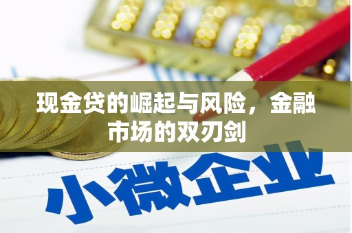 清新现金贷的崛起与风险，金融市场的双刃剑