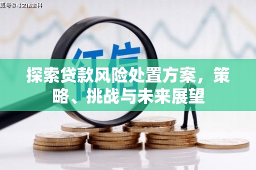 清新探索贷款风险处置方案，策略、挑战与未来展望